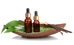 Massage Oil • 1 Bottle